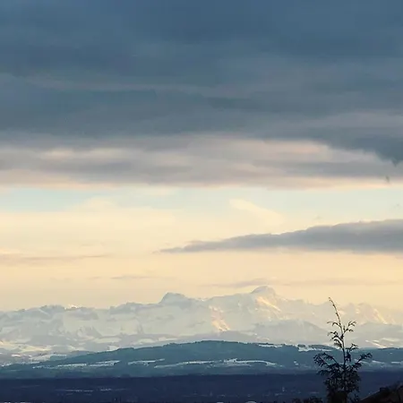 Blick Ins Gruene
