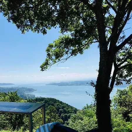 Apartment Blick Ins Gruene