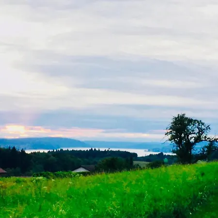 Blick Ins Gruene